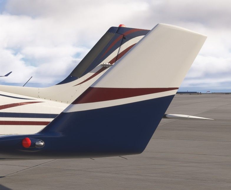 wingtip1.jpg