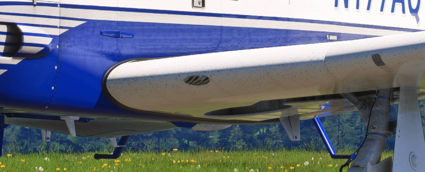 Wing shape BSQ.png
