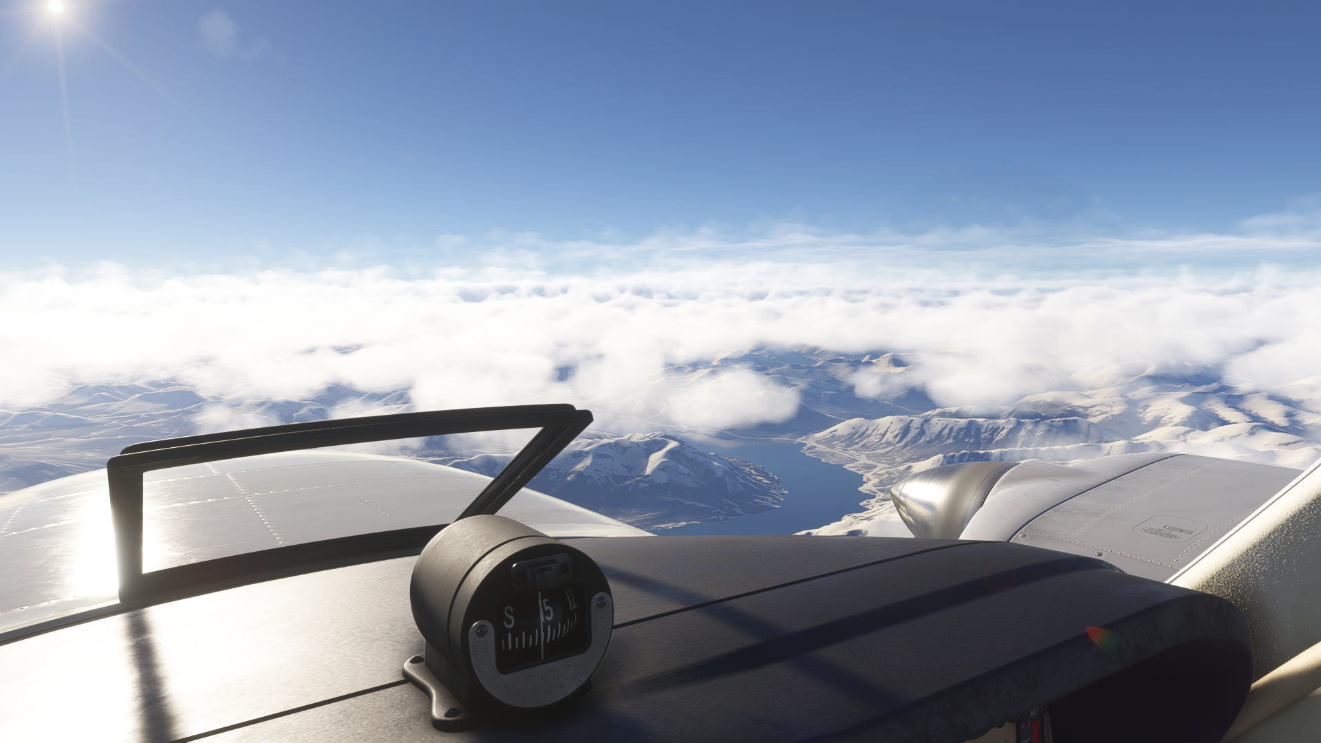 Microsoft Flight Simulator 2024-2026_01_12-19-00-18.png